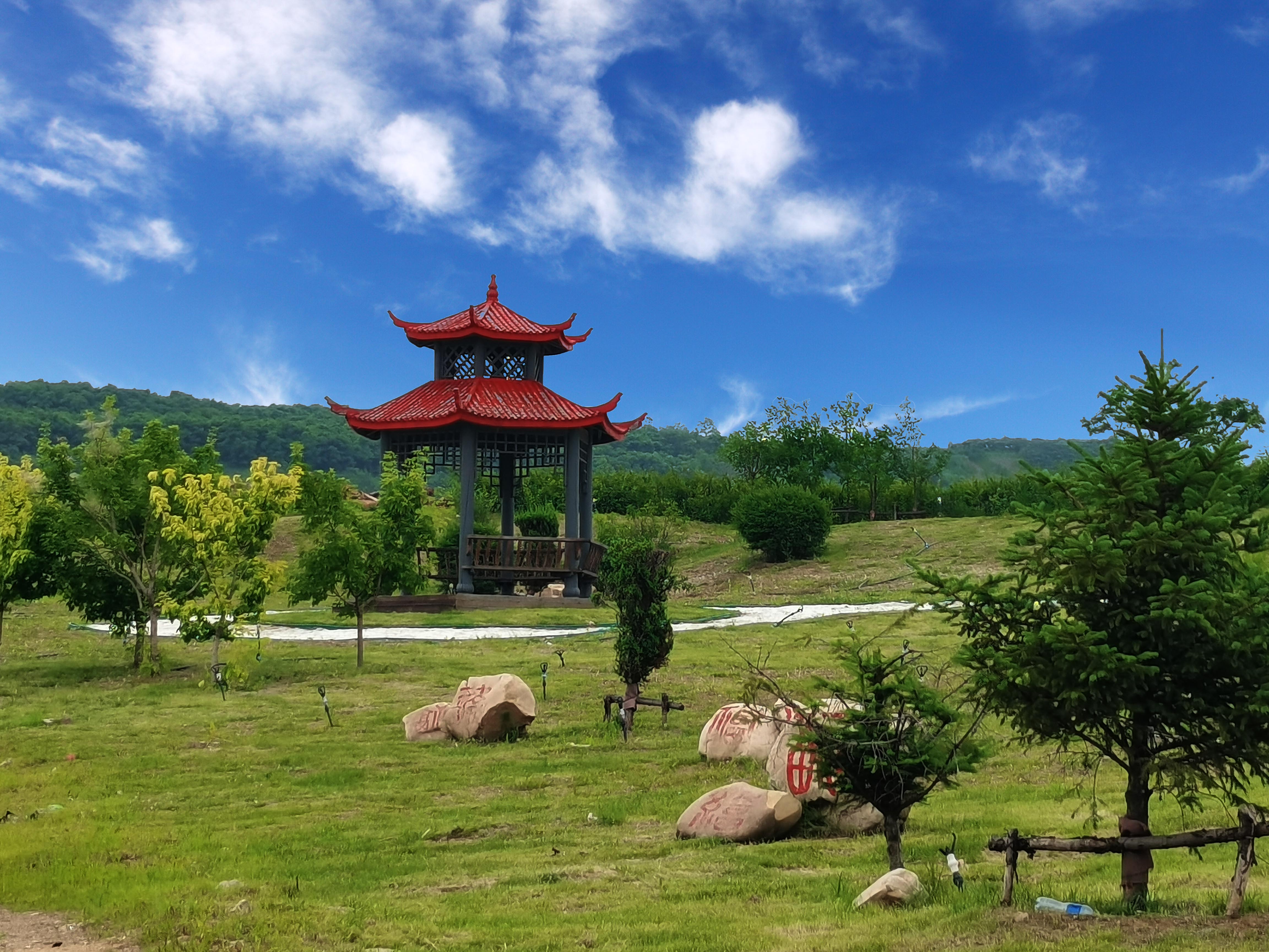 福山夏景绿植